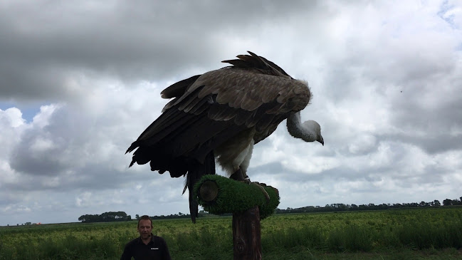 TexelZoo openingstijden