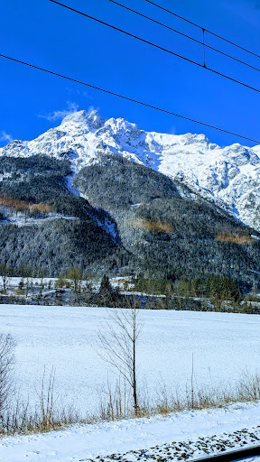 Tenneck - Thumbnail