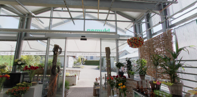 Rezensionen über Martin's Blumenwelt Gärtnerei in Risch - Blumengeschäft