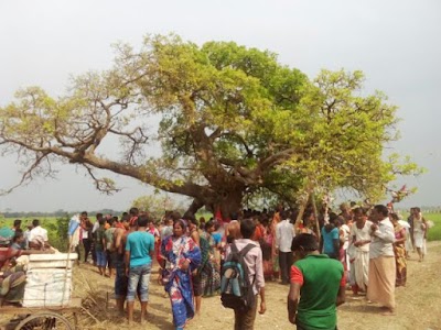 Photos of Orakandi Thakur Bari