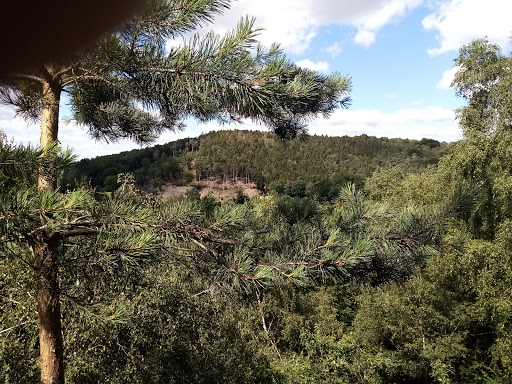 Campingplatz Dörenther Klippen - Thumbnail