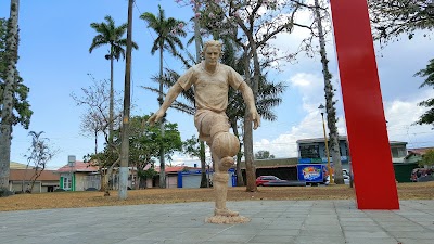 Photos of Palms Park