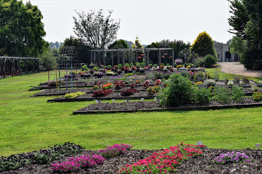 JC Raulston Arboretum - Thumbnail