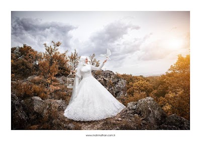 Photos of Mahmuth Acar &bull; Wedding Photographer