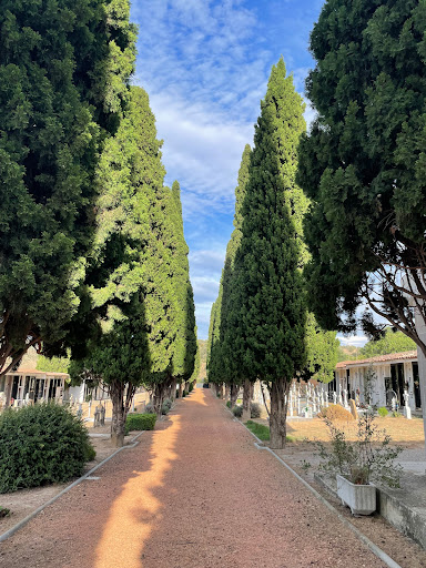 Cementiri Municipal de Camarasa - Thumbnail