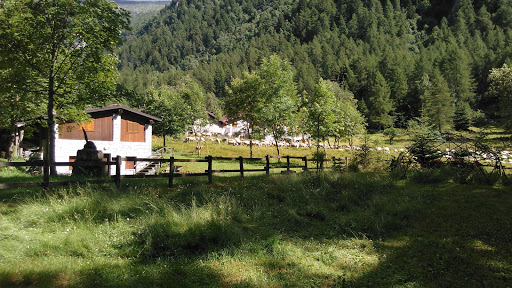 CAMPO TRES Gallery - Italy
