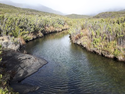 Photos of Chirrip&oacute; National Park