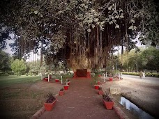 Banyan Tree hyderabad