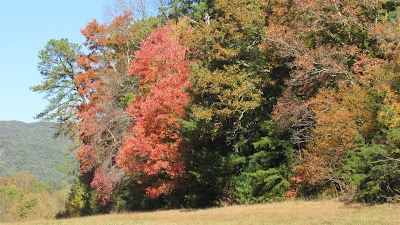 cades cove