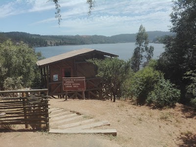 Photos of Camping CONAF Reserva Nacional Laguna Torca
