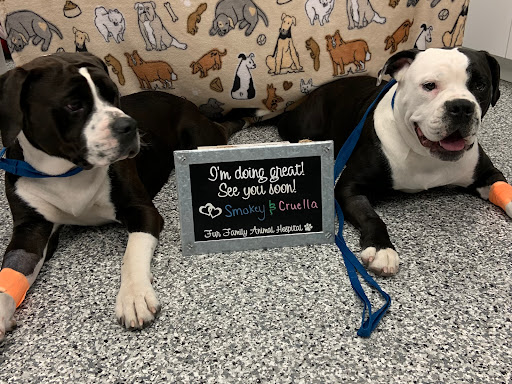 Fur Family Animal Hospital Gallery - United States