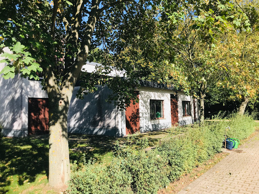 Friedhof Sundhausen - Visual