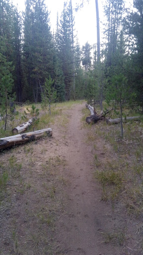 Little Lava Lake Campground and Boat Ramp - Thumbnail