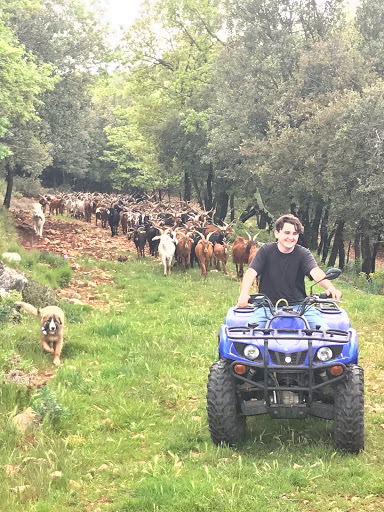 Bergerie du Defens - Thumbnail
