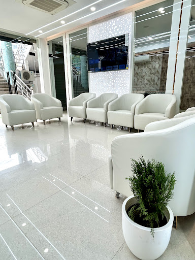 Gallery image 7