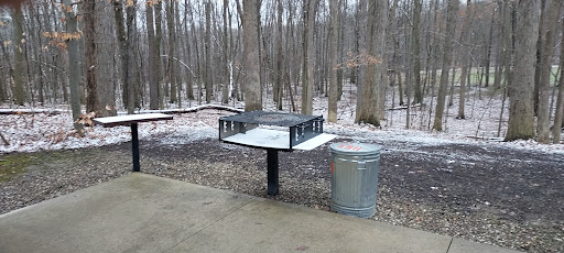 Wintergreen Cabin - Visual