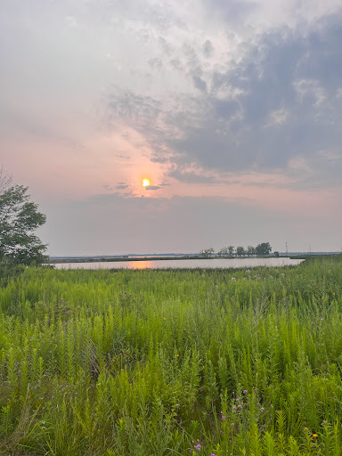 Times Beach Nature Preserve Gallery - United States