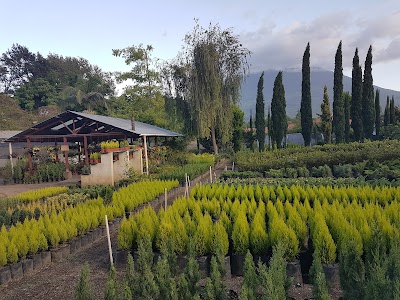 Photos of Eventos Santa Rita