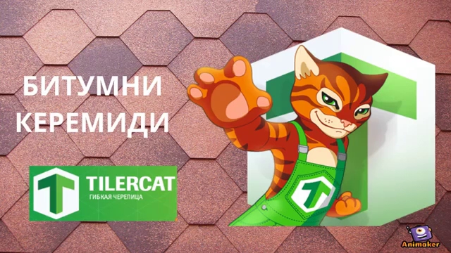 Стоилова 2004 ЕООД