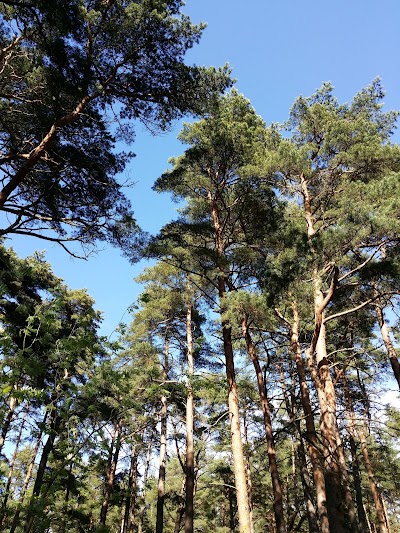 Photos of Pirita terviserada