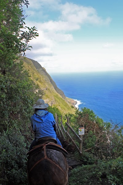 Molokai Mule Ride