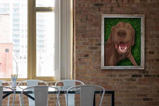 DogFace, Inc - Visual
