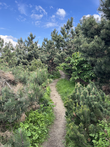Jardins des Hautes-Bruyères - Thumbnail