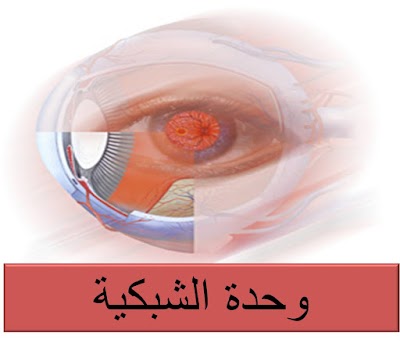 Photos of Dr. Tarek Maamoun Eye Center