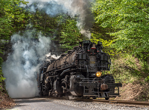 Brush Tunnel Gallery - United States