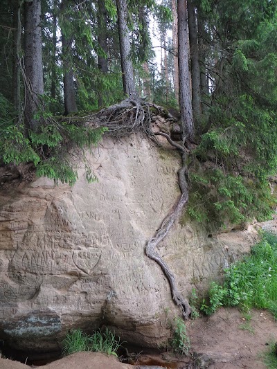 Photos of RMK Kaljupealse l&otilde;kkekoht