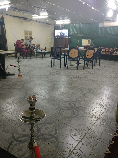 Photos of مطعم ومقهى واحة البطريق