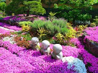 芝桜庭園樹木葬【永代供養墓】