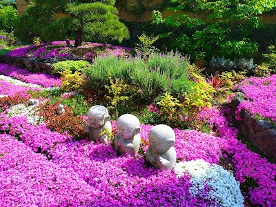 芝桜庭園樹木葬【永代供養墓】