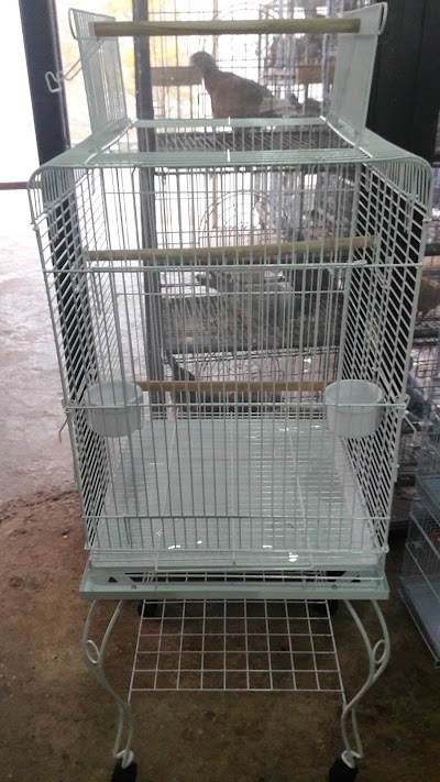 Photos of Badah Foundation for birds