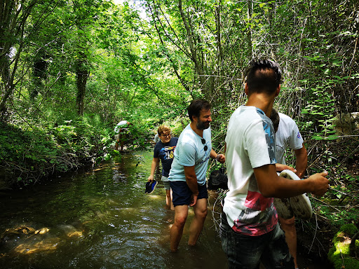 Wild Camp - Thumbnail