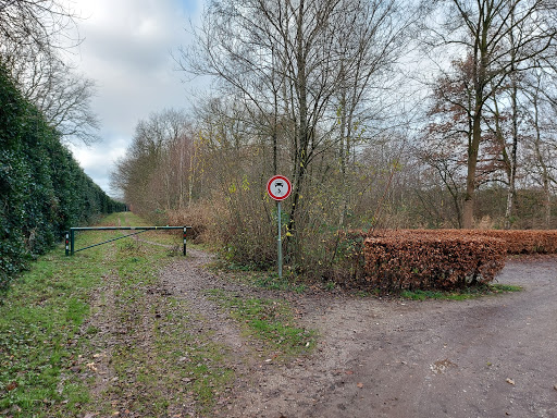 Parkeerplaats de ijzeren man - Thumbnail