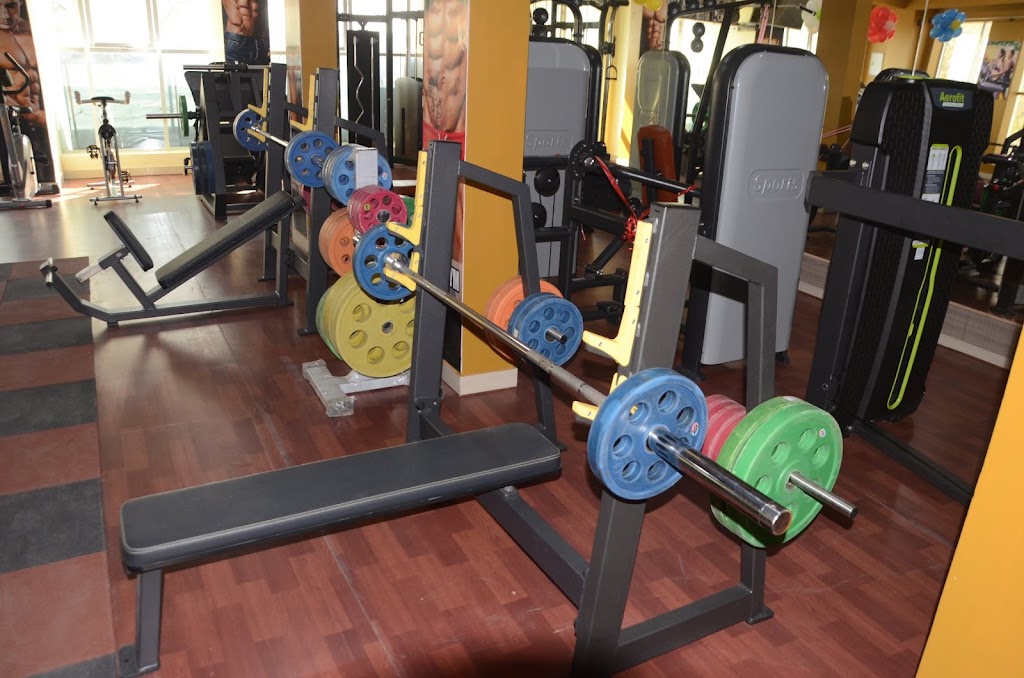 Royal Gym Best Gym Body Builder Center Fitness Centre