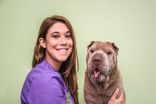 Vitalcan Centro Veterinario Urgencias 24 horas