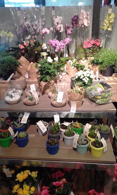 Photos of Woolworths Meadowridge