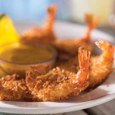 Bahama Breeze by null