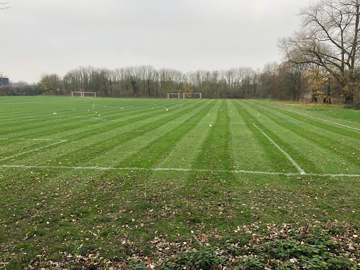 Farnham Town Football Club - Thumbnail
