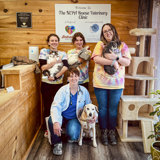 The NEPA Rescue Veterinary Clinic at Indraloka Gallery - United States