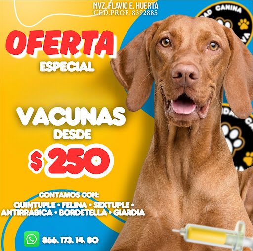 Diversidad Canina Monclova®