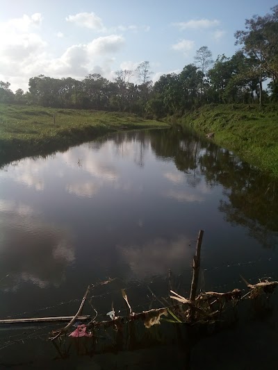 Photos of Parque San Ignacio, Masca, Puerto Cortes