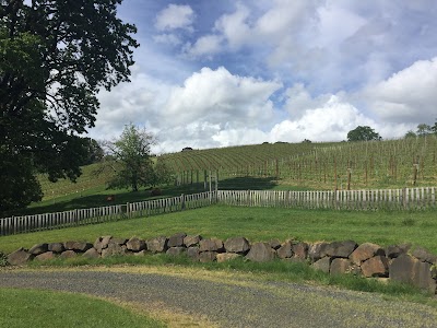 Belle Pente Vineyard & Winery