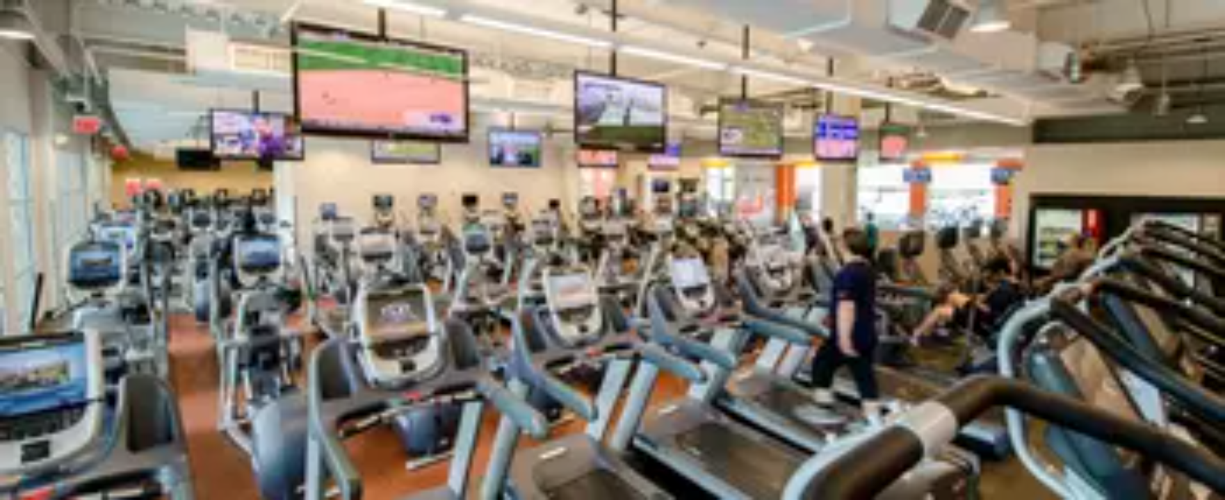 Onelife Fitness photo 10