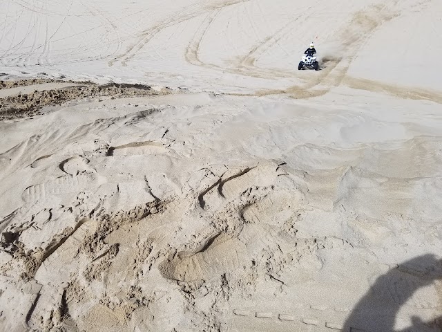 Oregon Dunes National Recreation Area