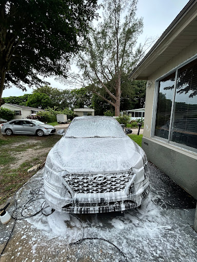 WpB Details - Visual