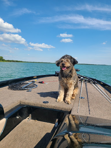Southern Plains Animal Hospital - Thumbnail