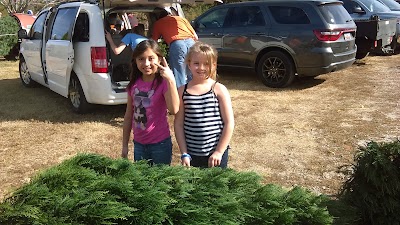 Photos of Merry Christmas Tree Farm